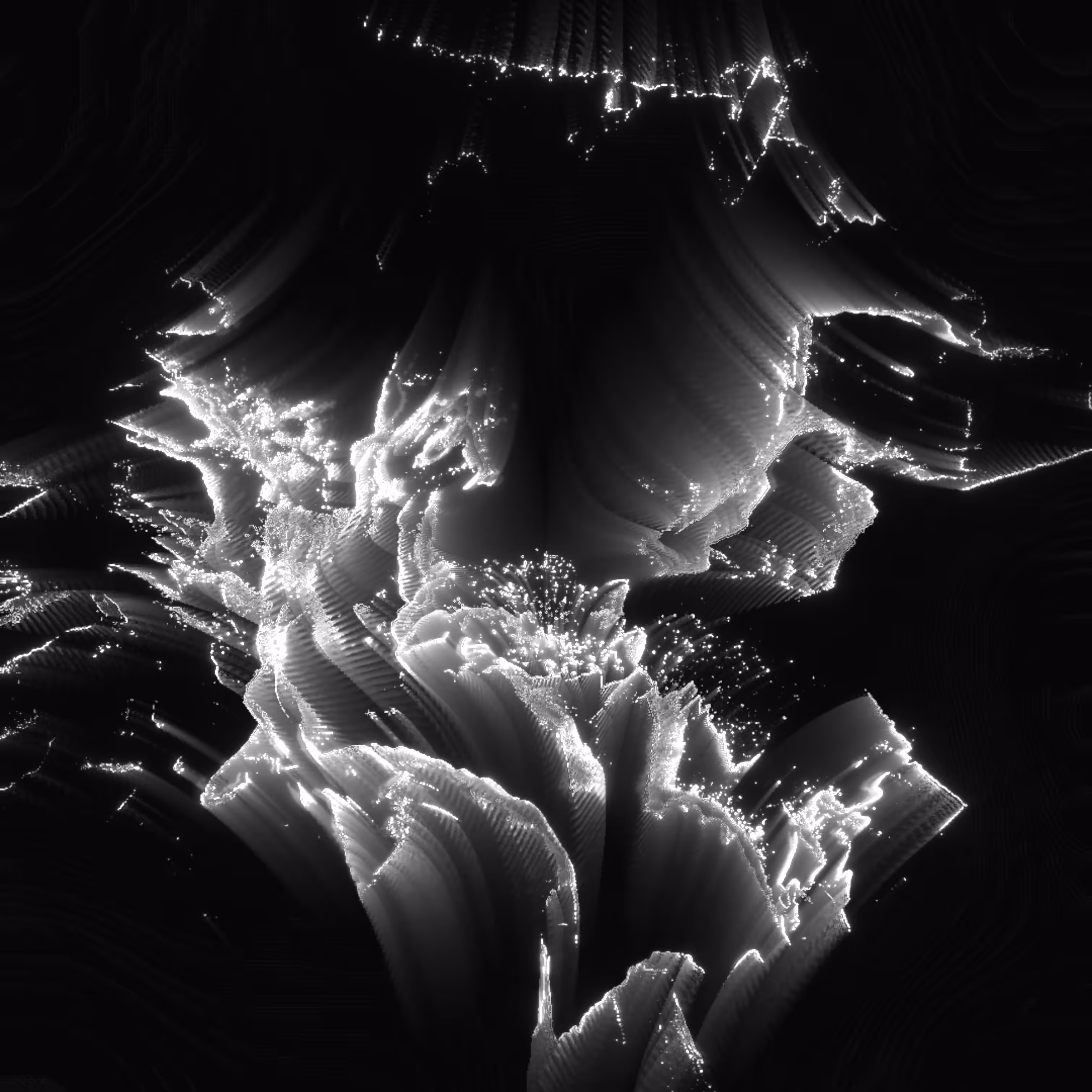 Bioluminescence XII