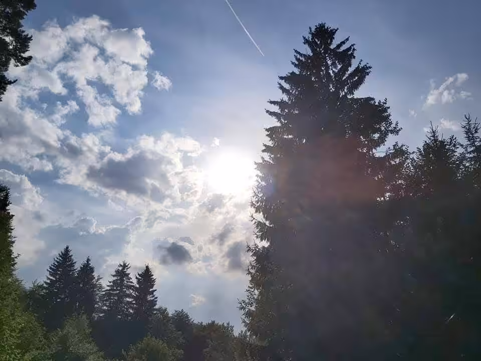 Sunbeams