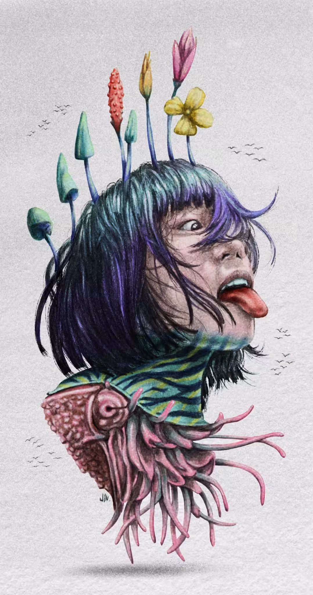 NAUFUNGUS 