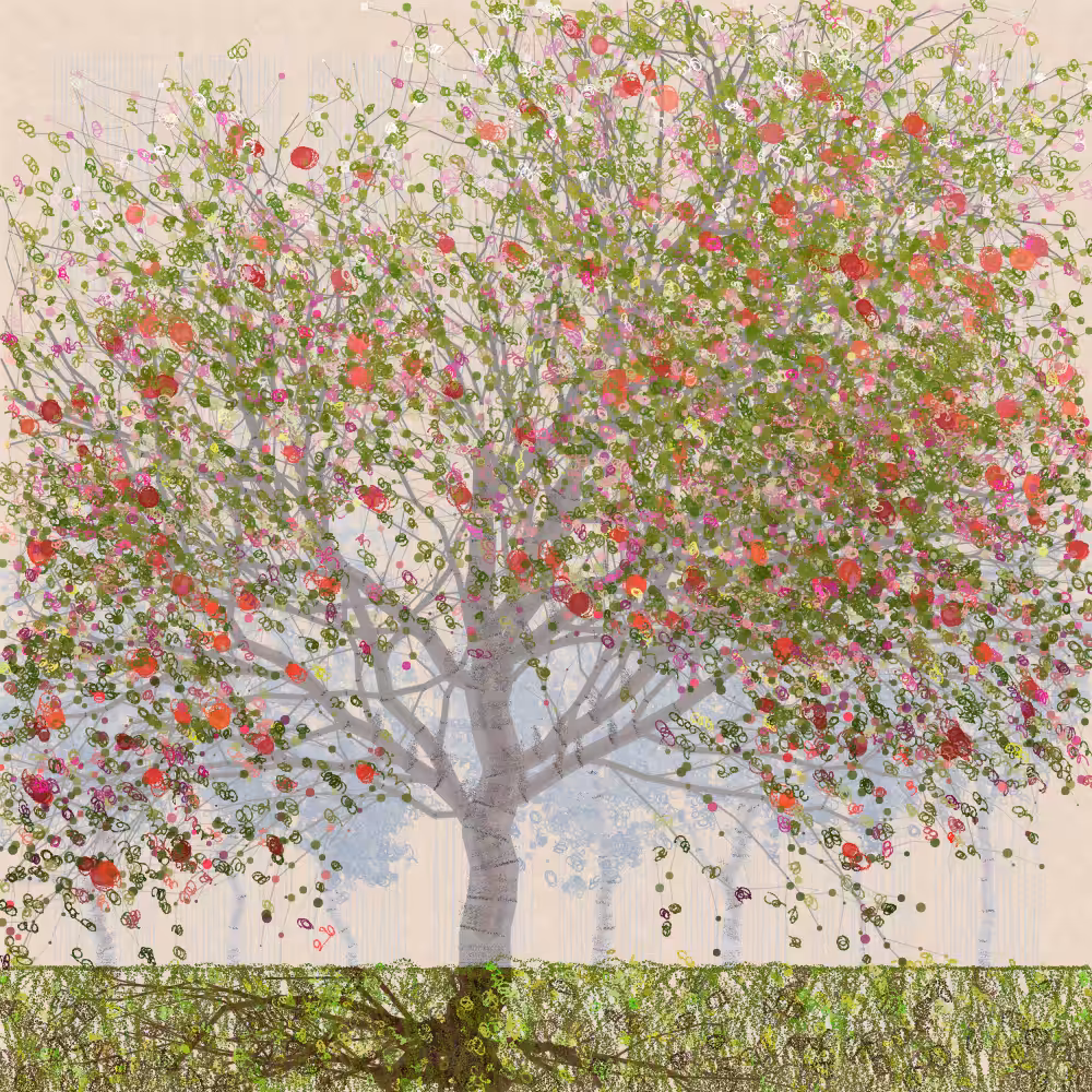 Orchard #350