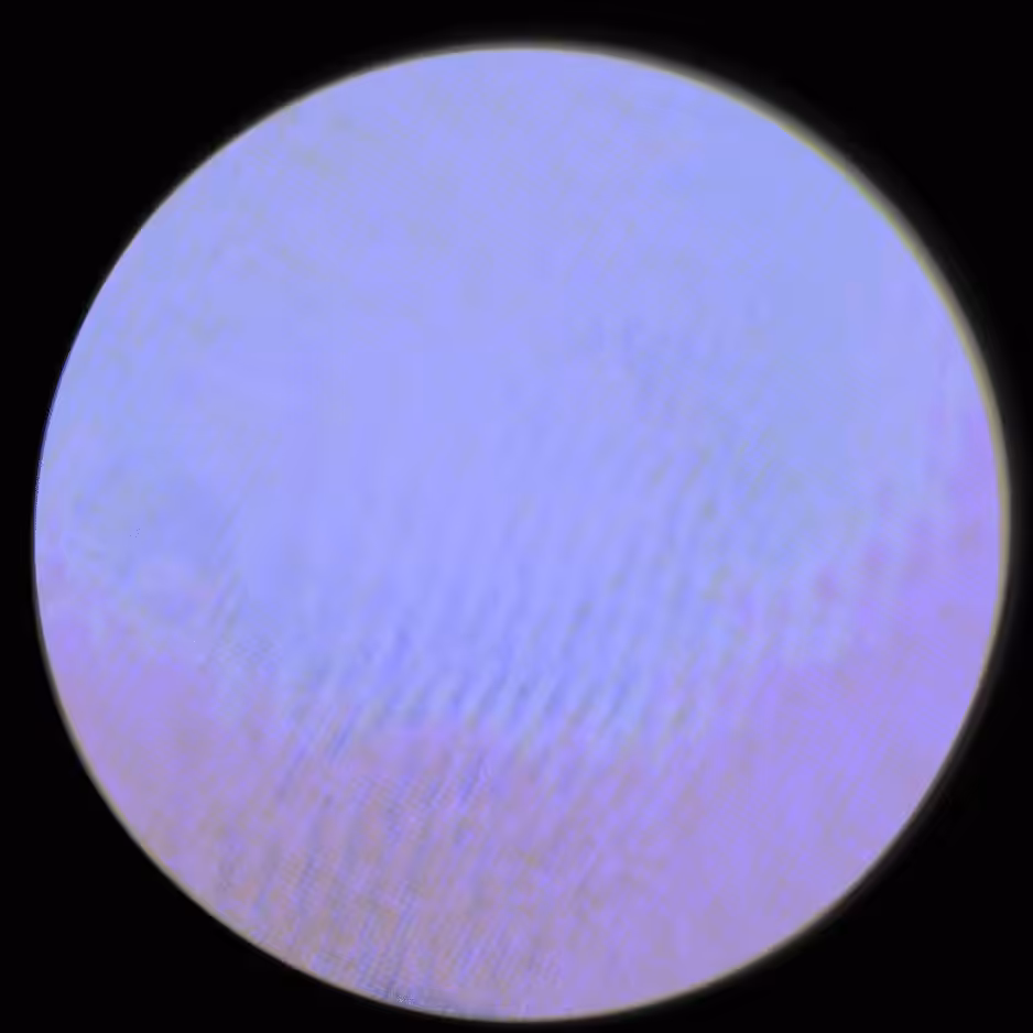 blueMoonBurning — jonCates (2024)