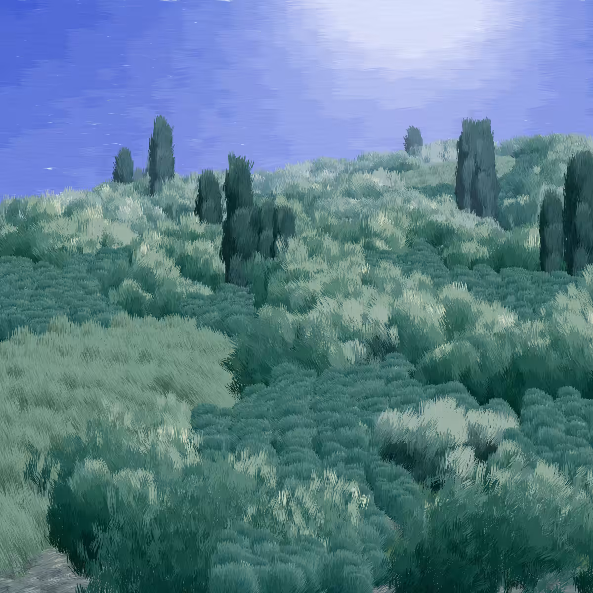 Provence #187