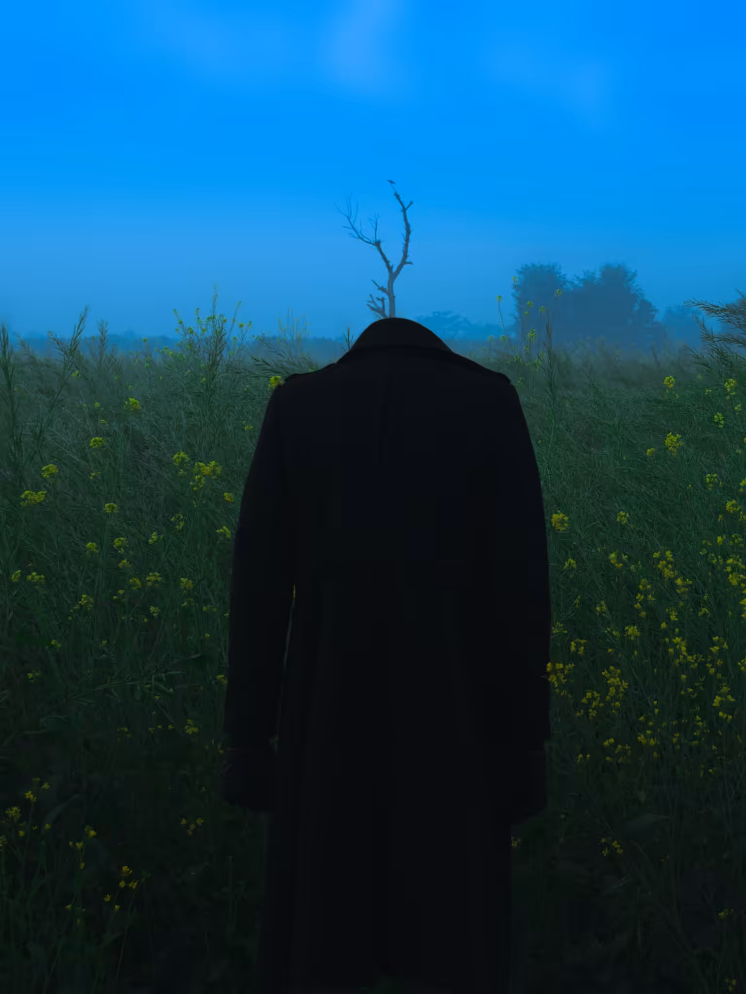 I LOST MY MIND 