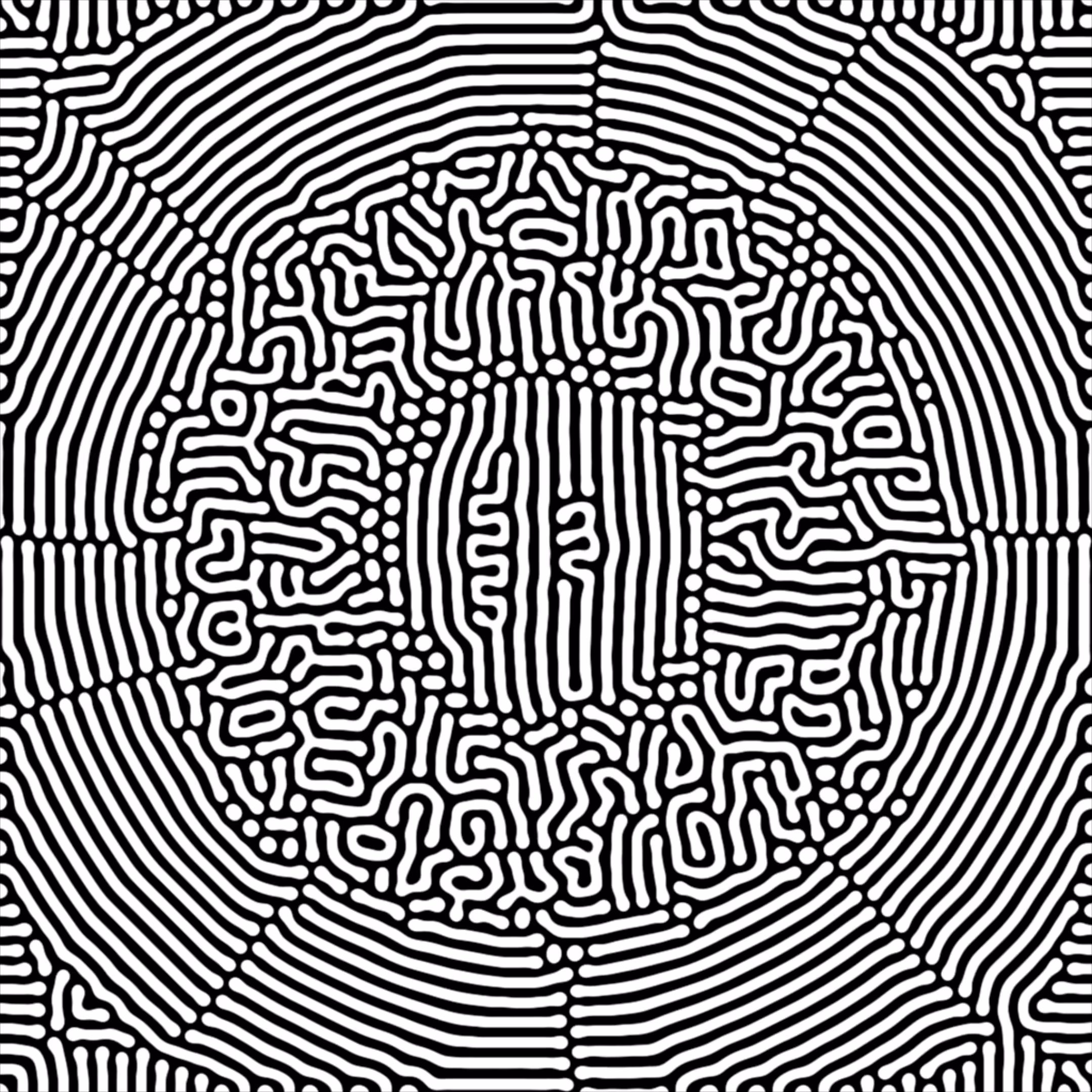 CROP CIRCLE