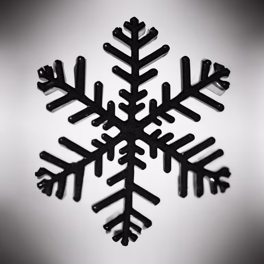 sNOwFlAKE 1