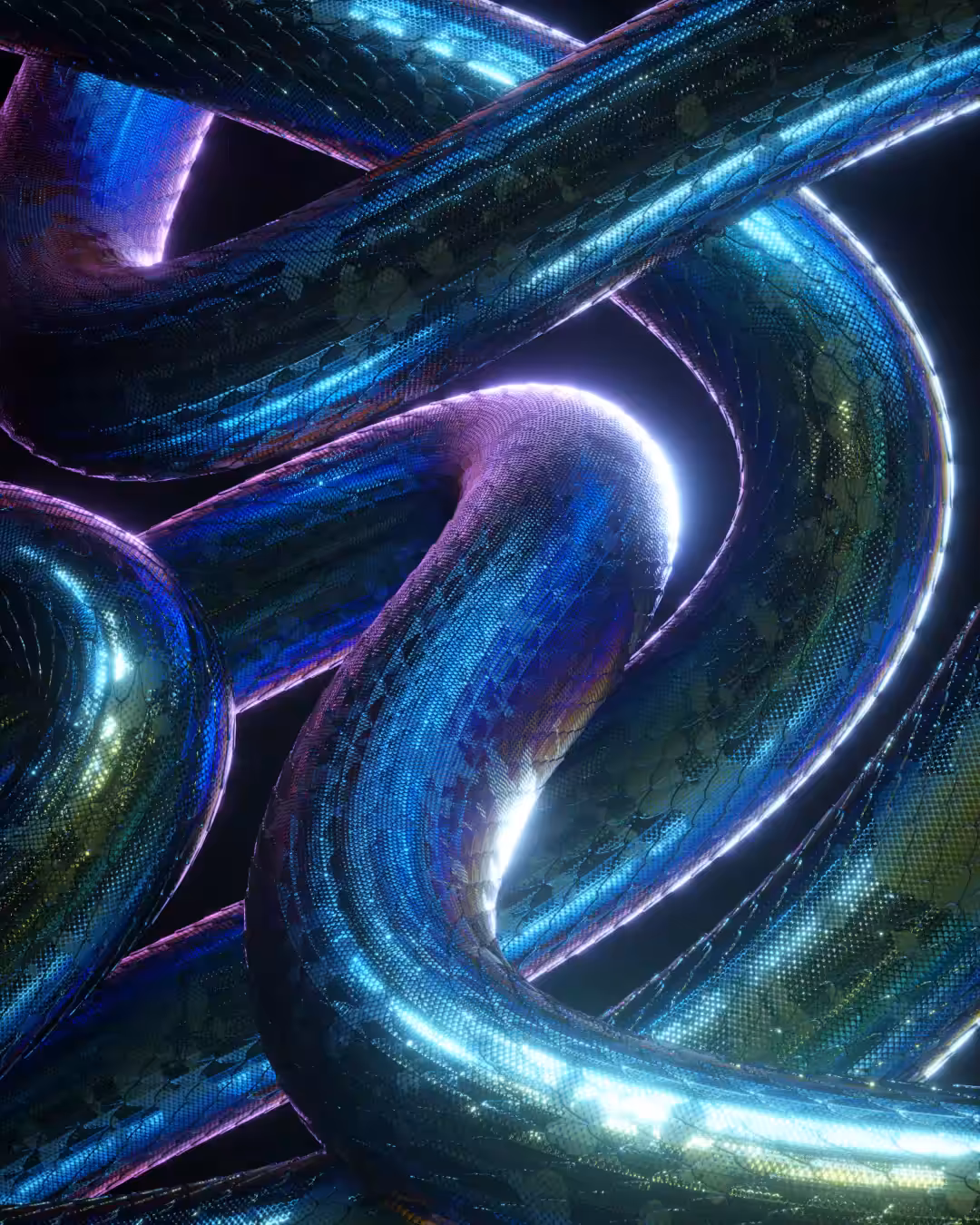 Snake #1