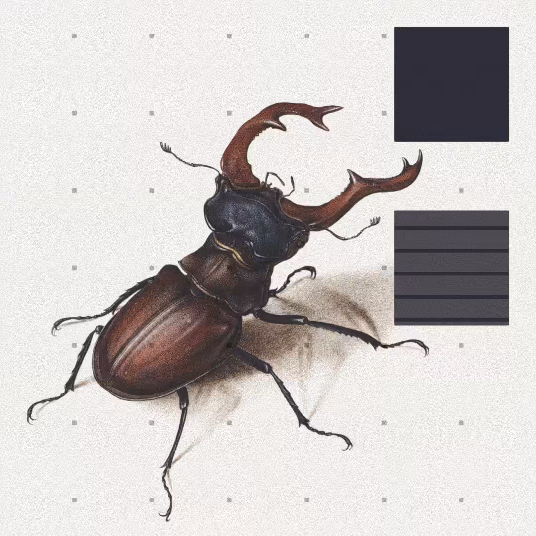 Beetle #4