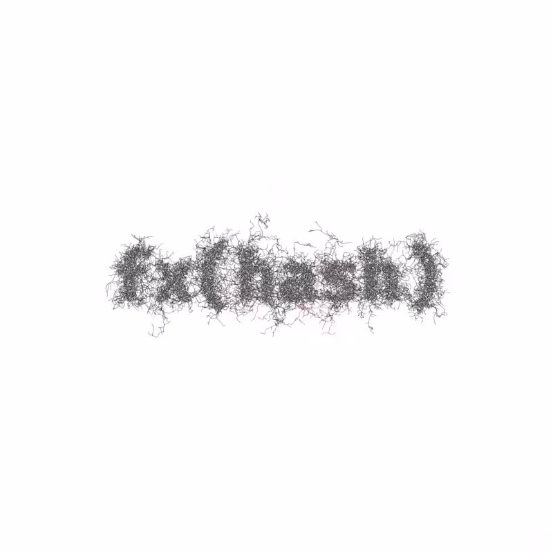 FXHASH Logo with Features #659