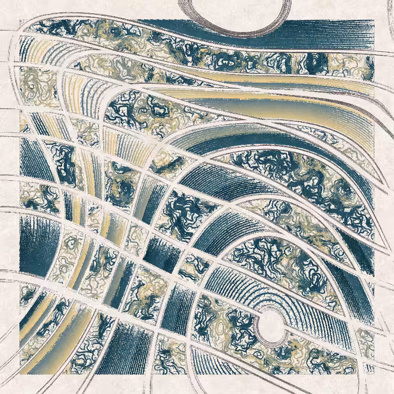 Curlida #51