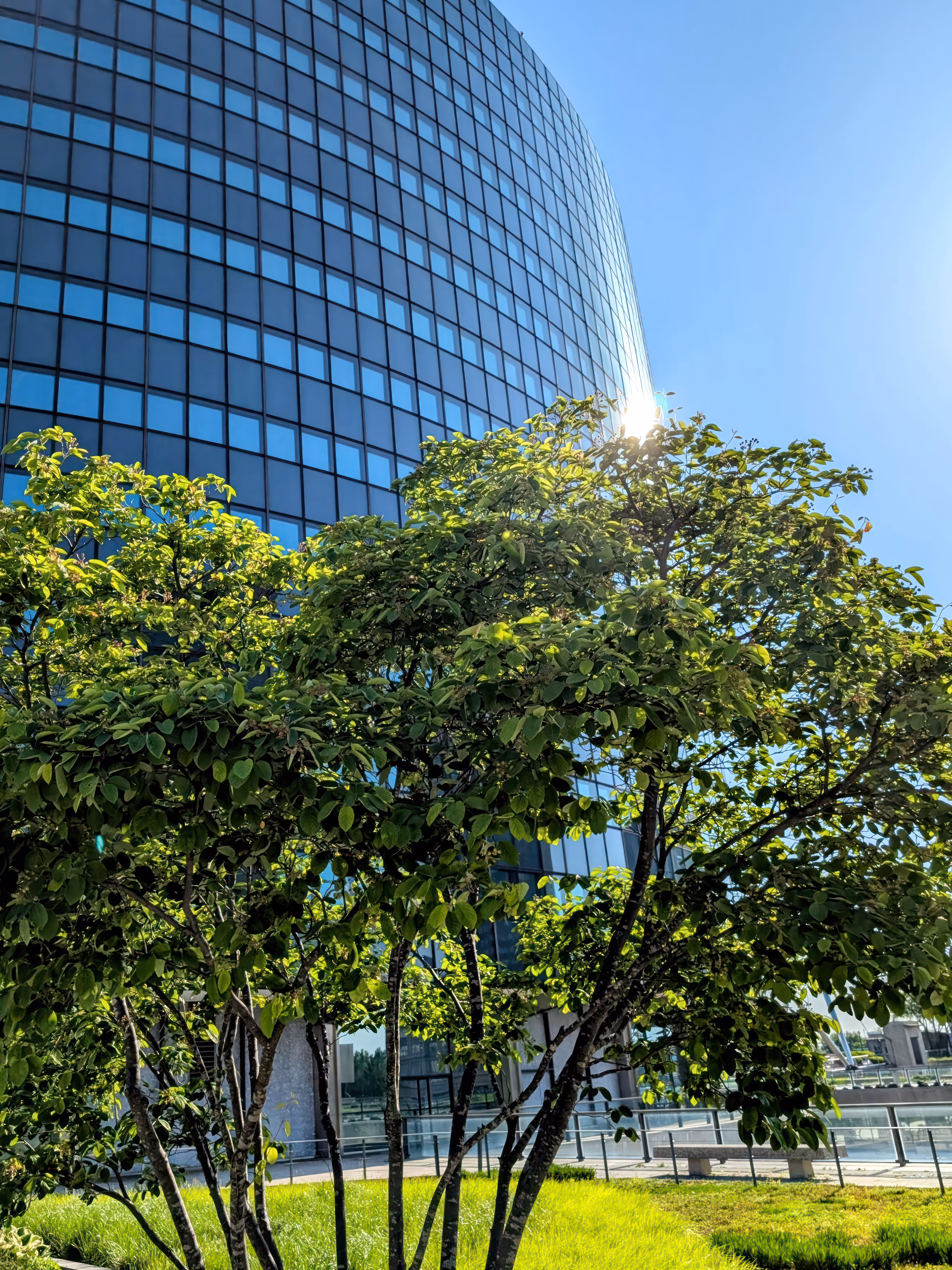 Beauty Innately: Highrise