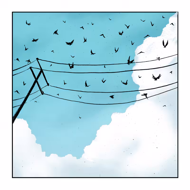BIRDS - 3