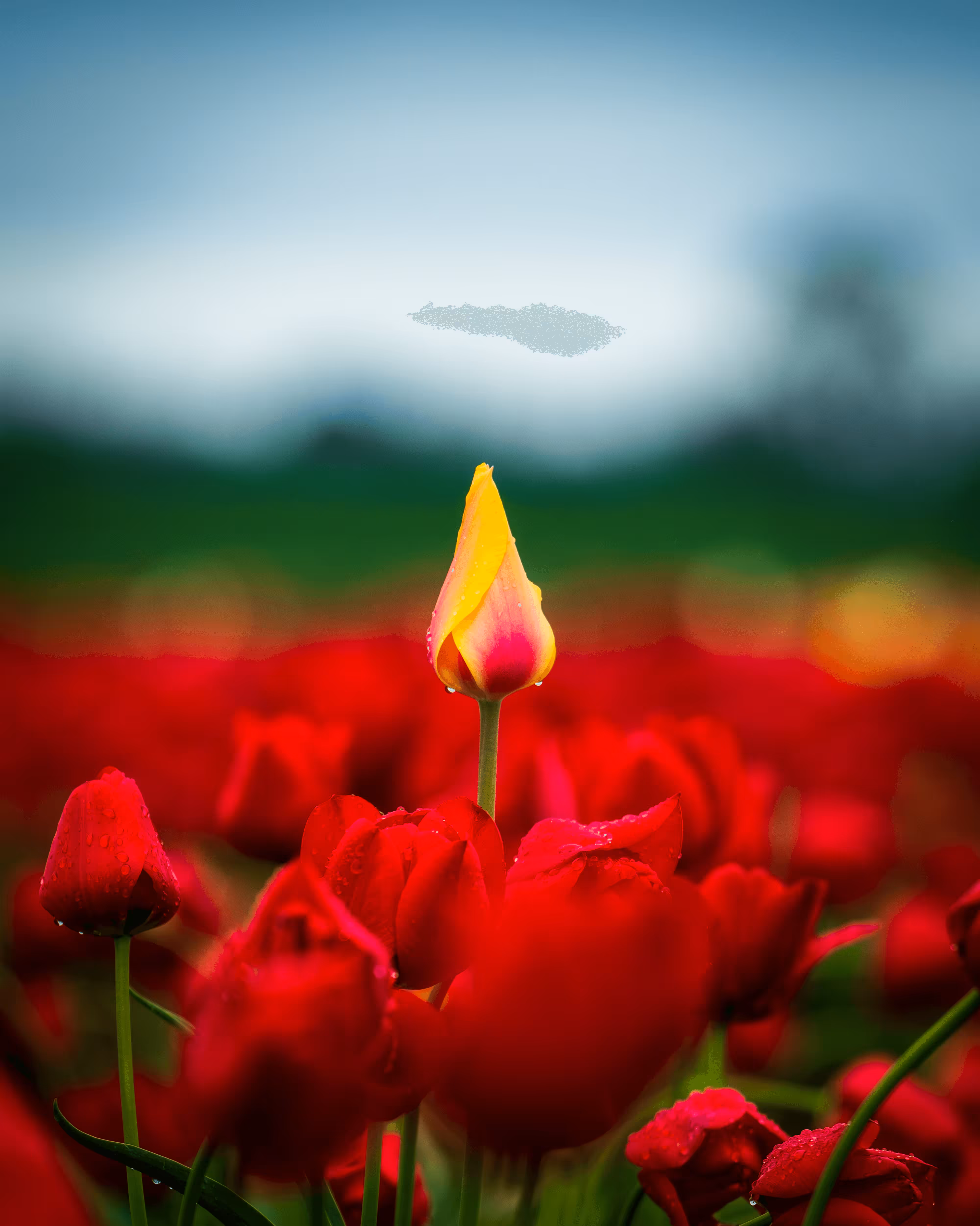 27.  Be Different