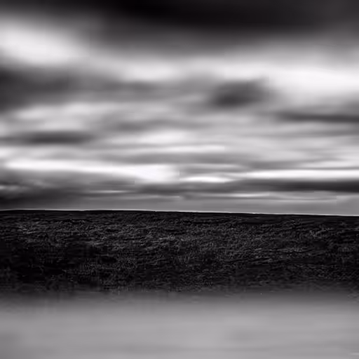 Ominous Fields 2