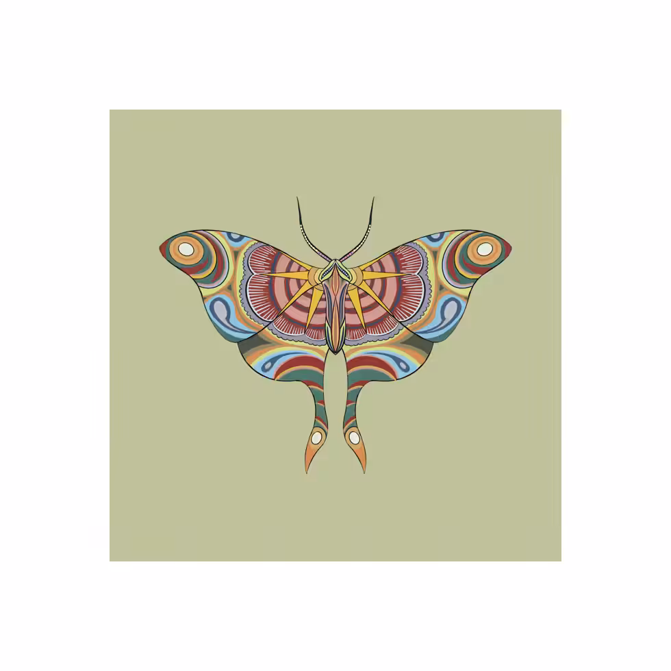The Moth Experiment #21