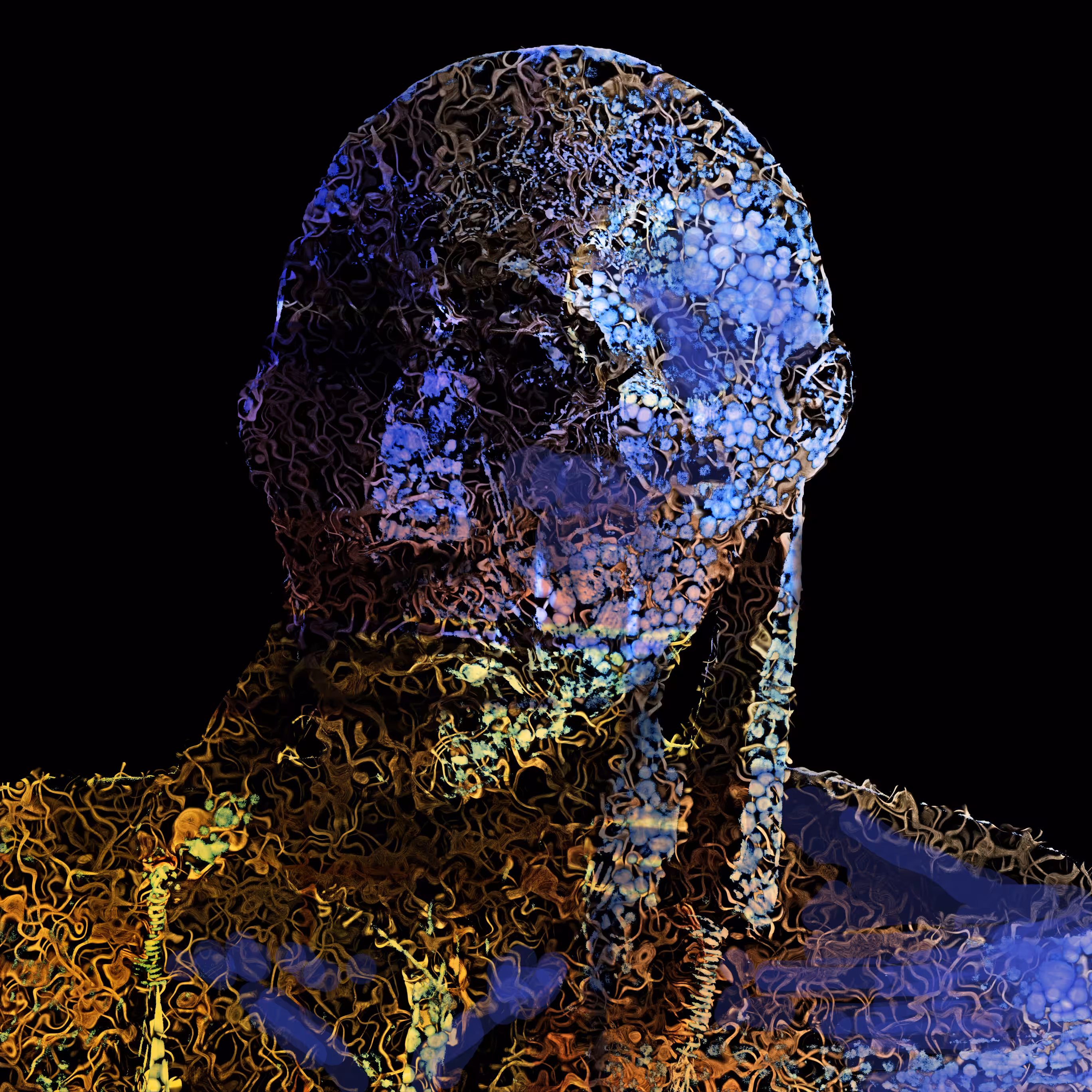 Cryptochromicon Man