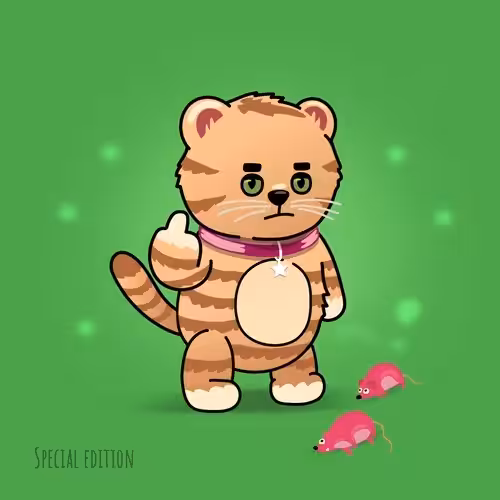 Special Brash Bear Cat