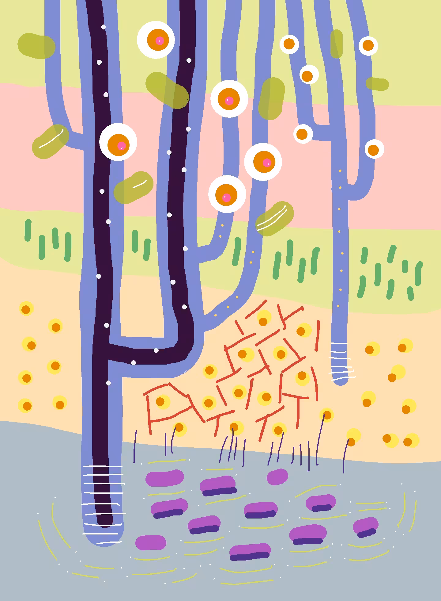 The beginning of style 2 - Stripes and dots: Apple trees in bloom (purple)