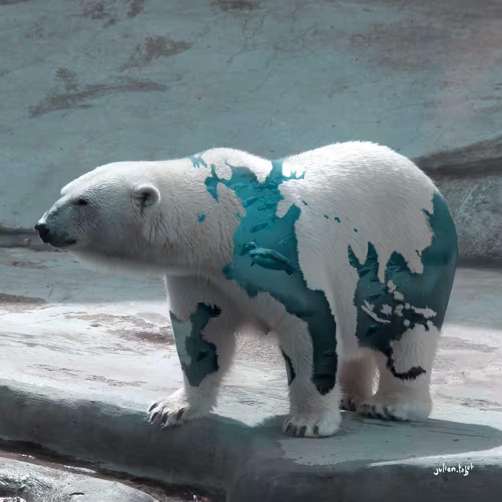 Aquanimal - Bear