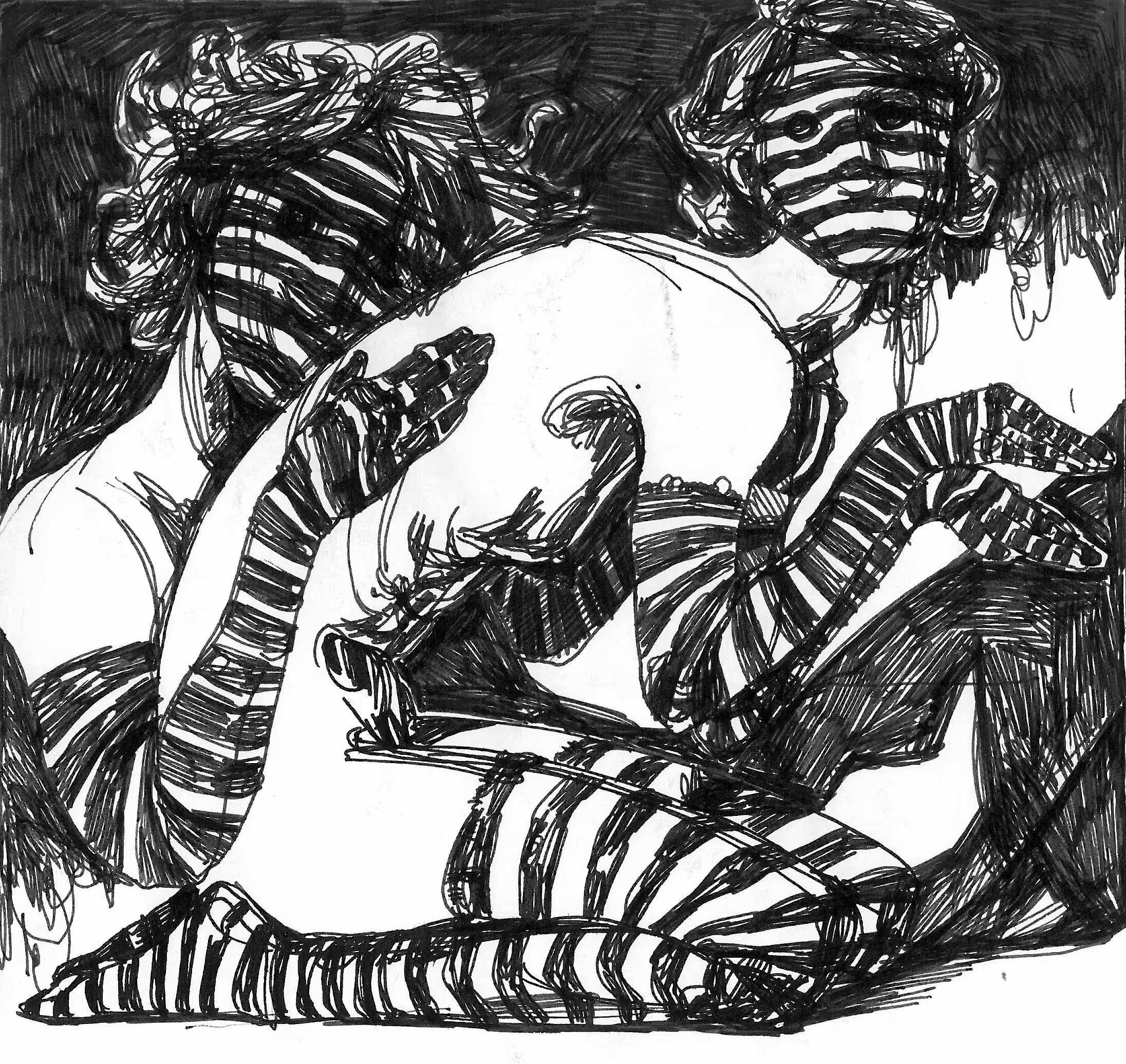 Zebras fall in love