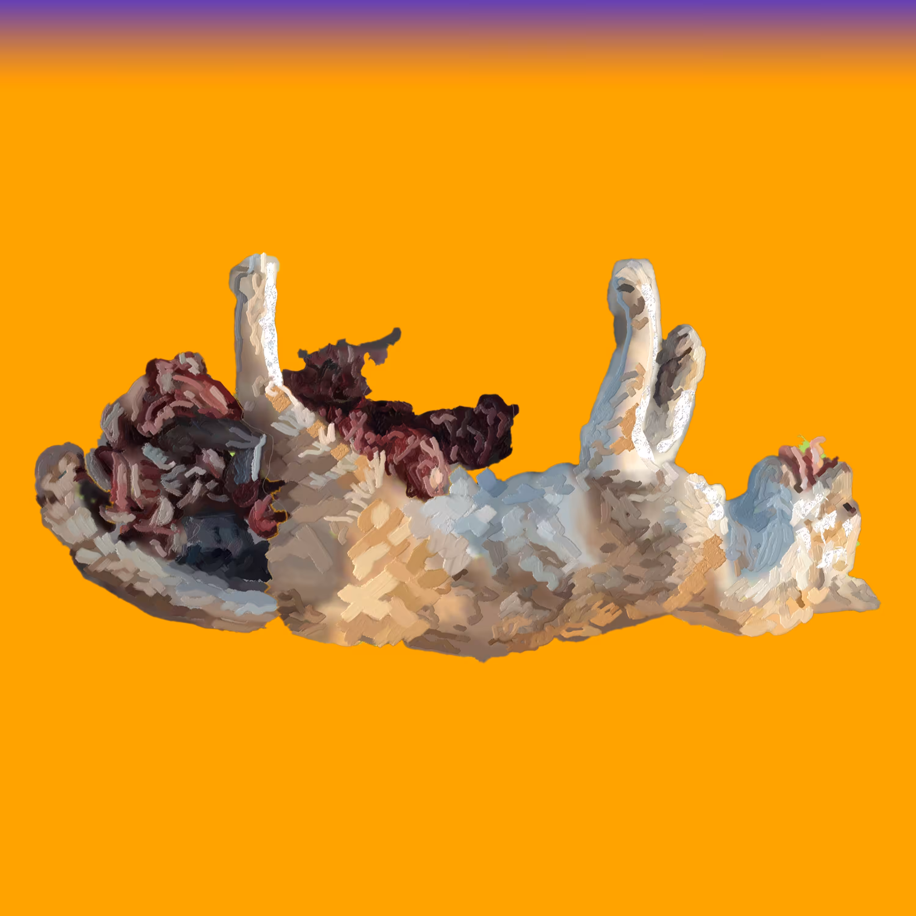 Gato 2