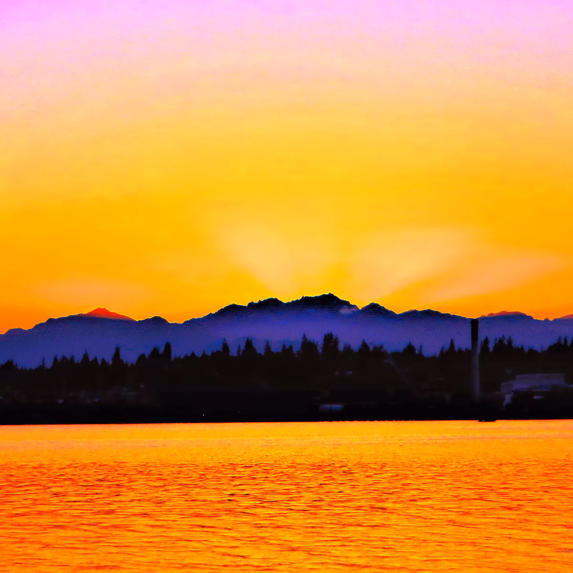 Edited Landscape #1