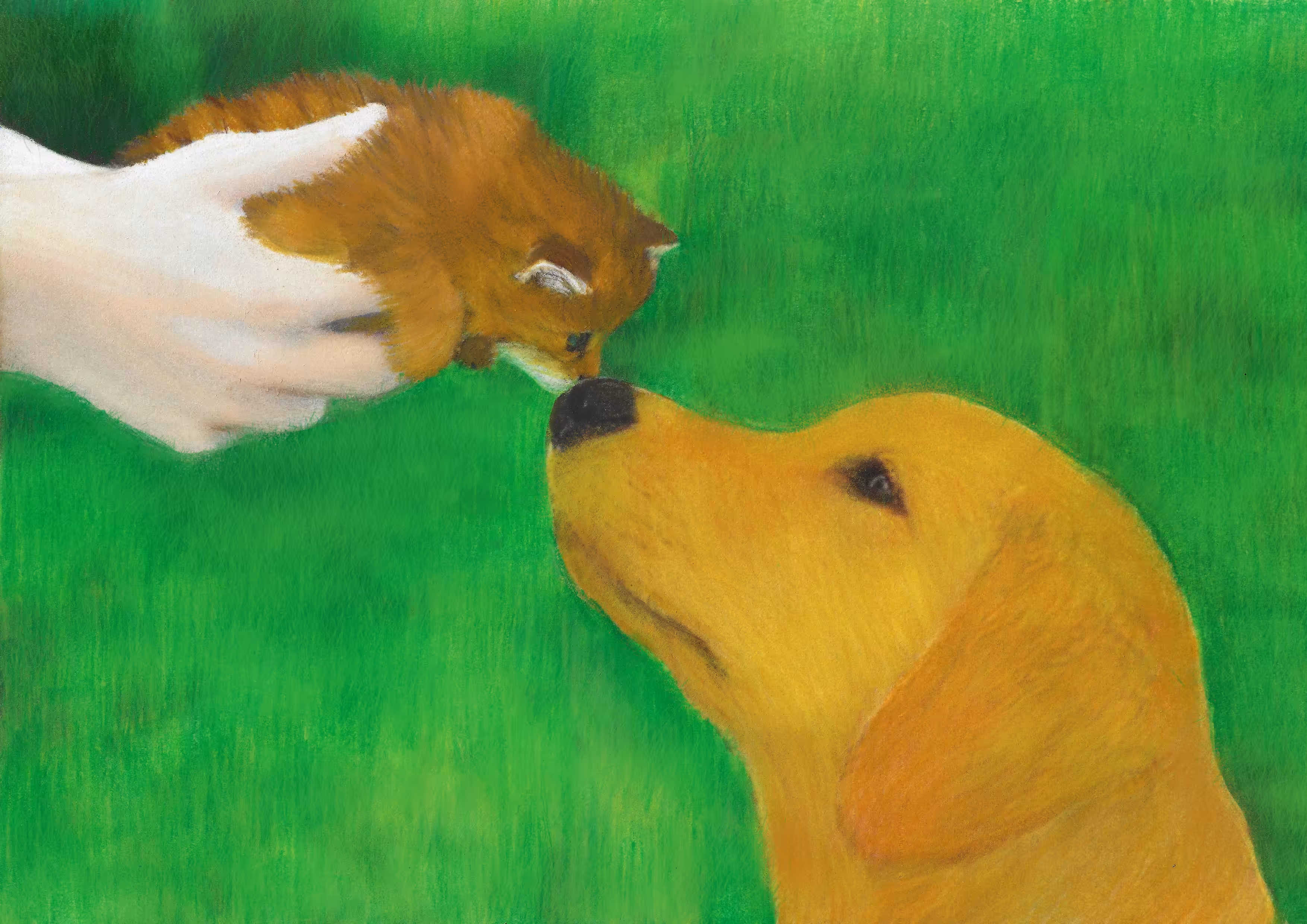 best friends, first meeting