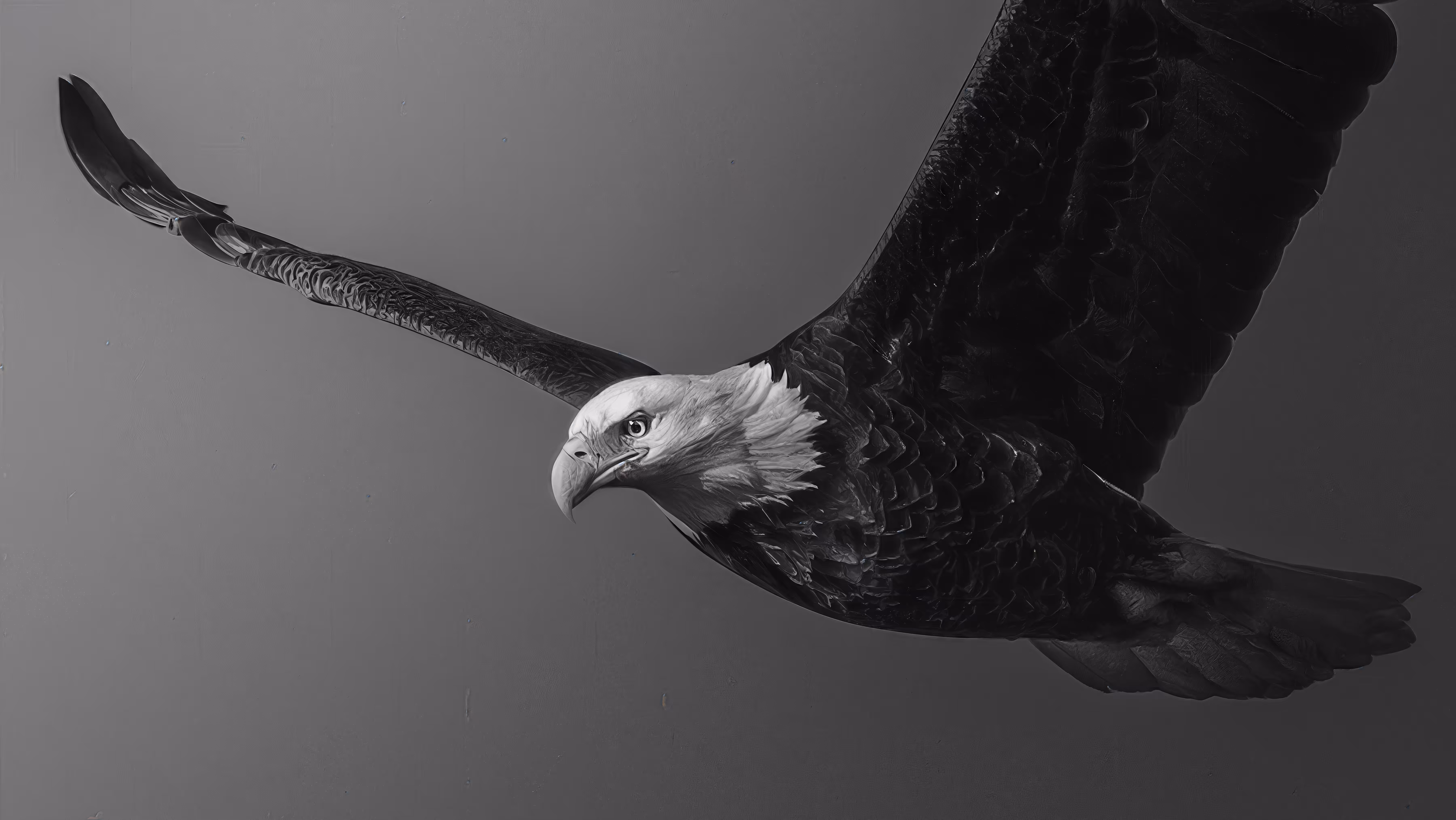 The Hunter