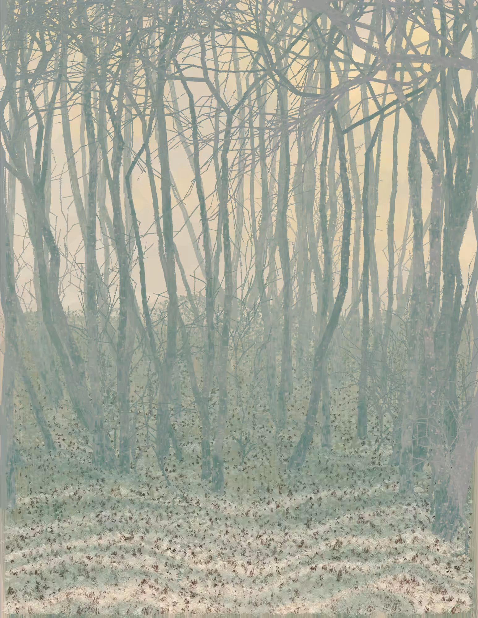 Deep Forest #291