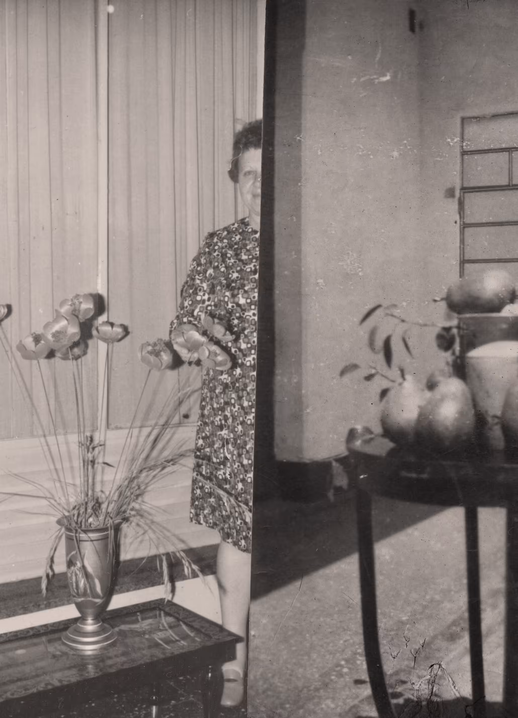 ARCHIVO LANZA(untitled6)