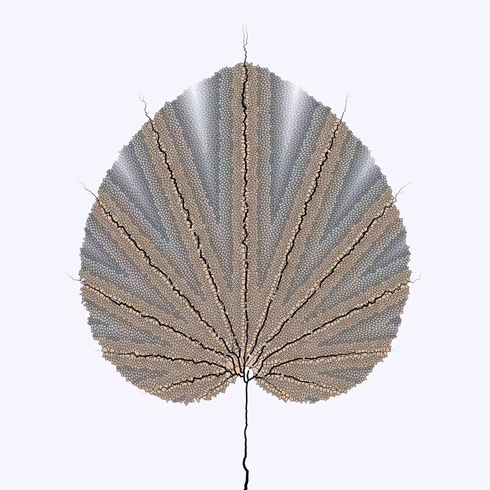 Leaf study #54