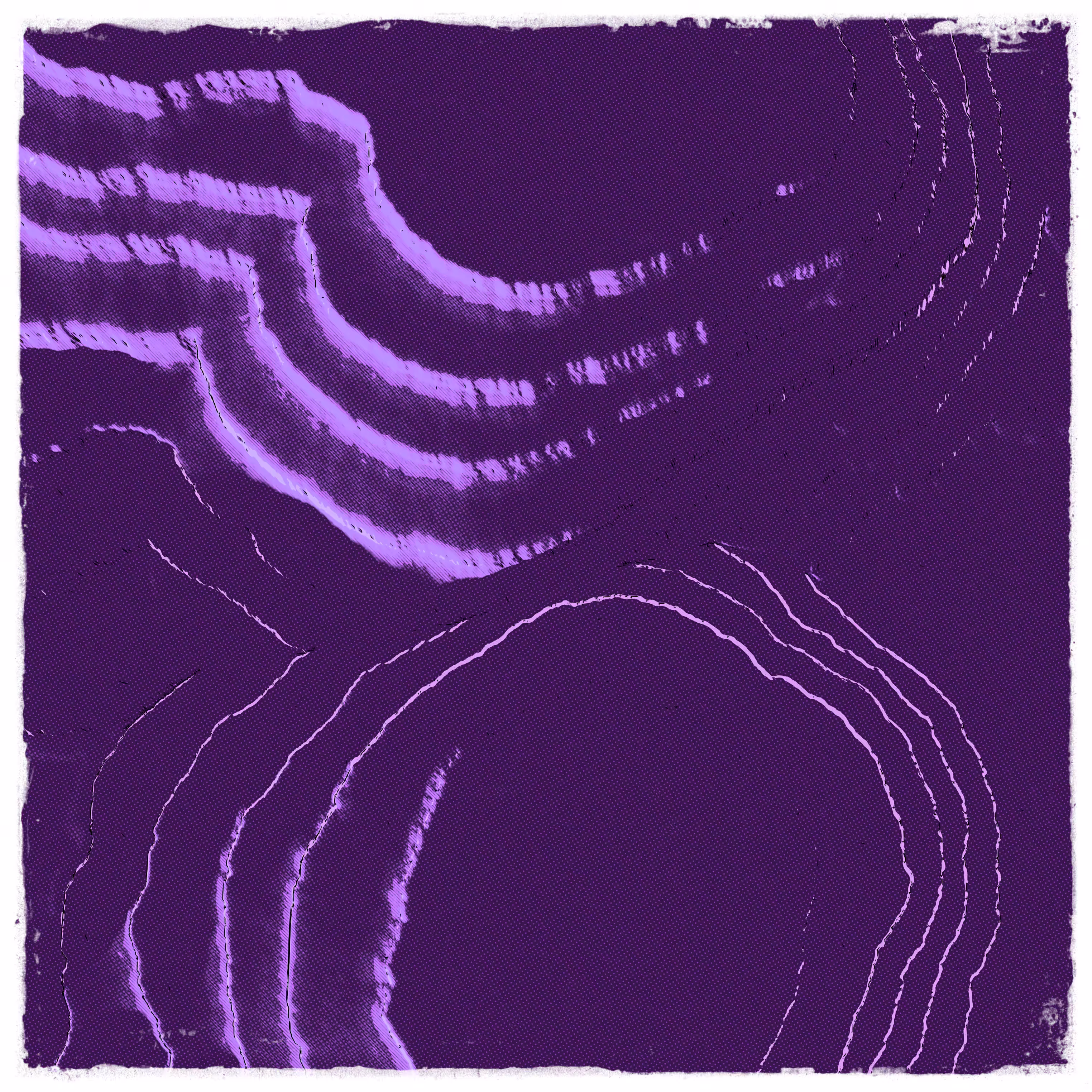 Purpura - Canyon
