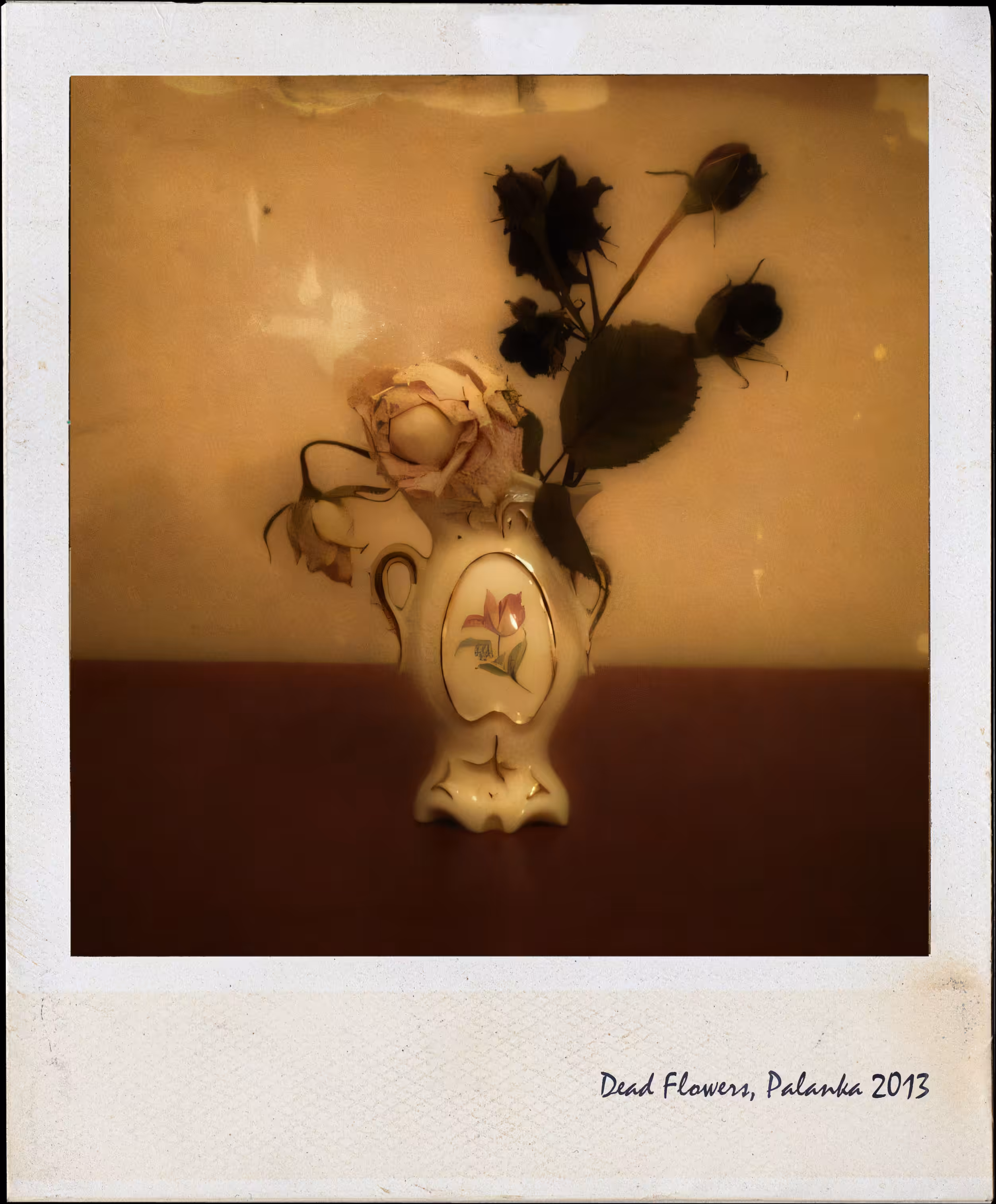 Dead Flowers
