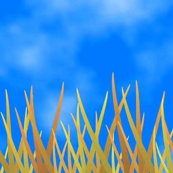 Fields of Ukraine #30