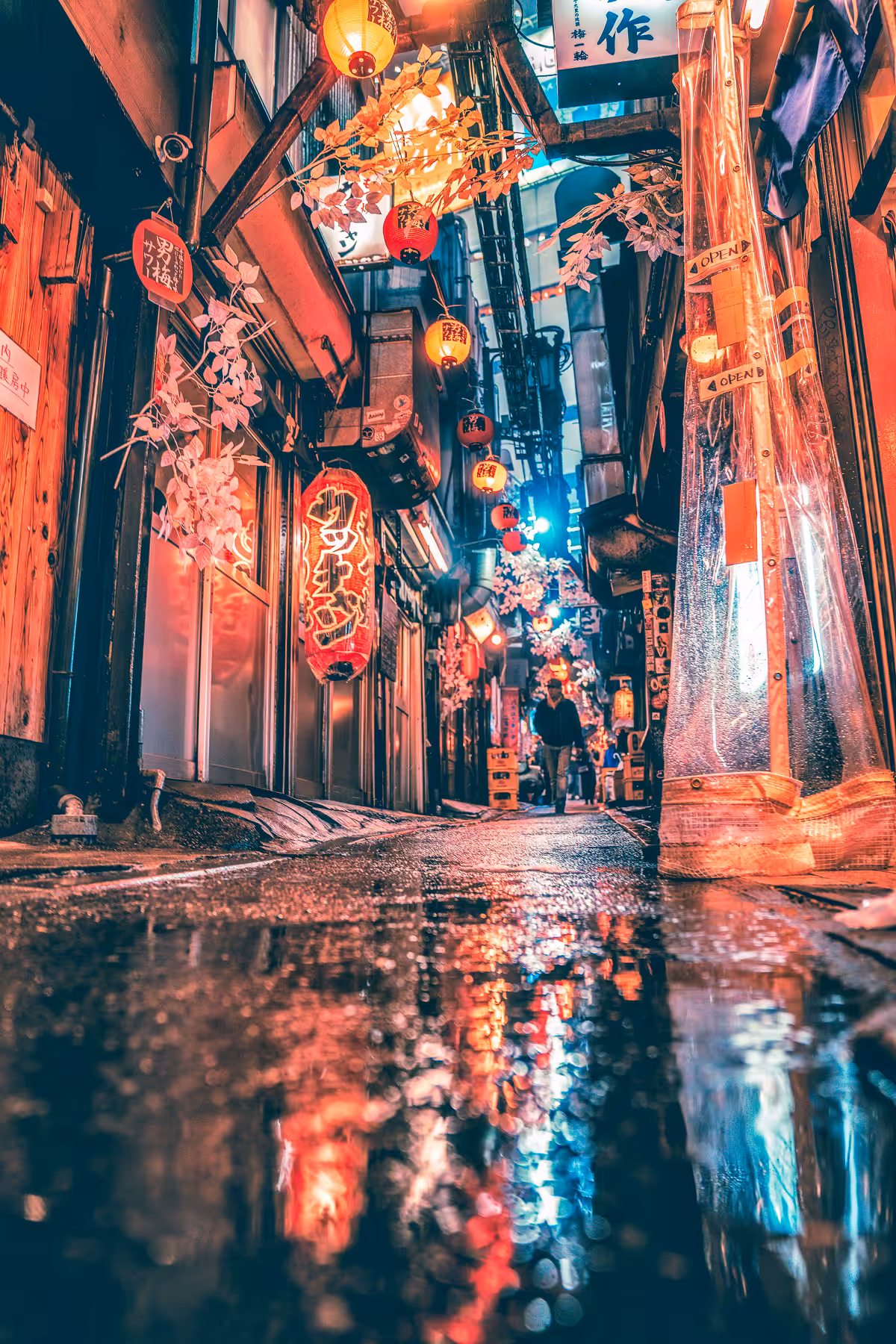Tokyo Wanderings