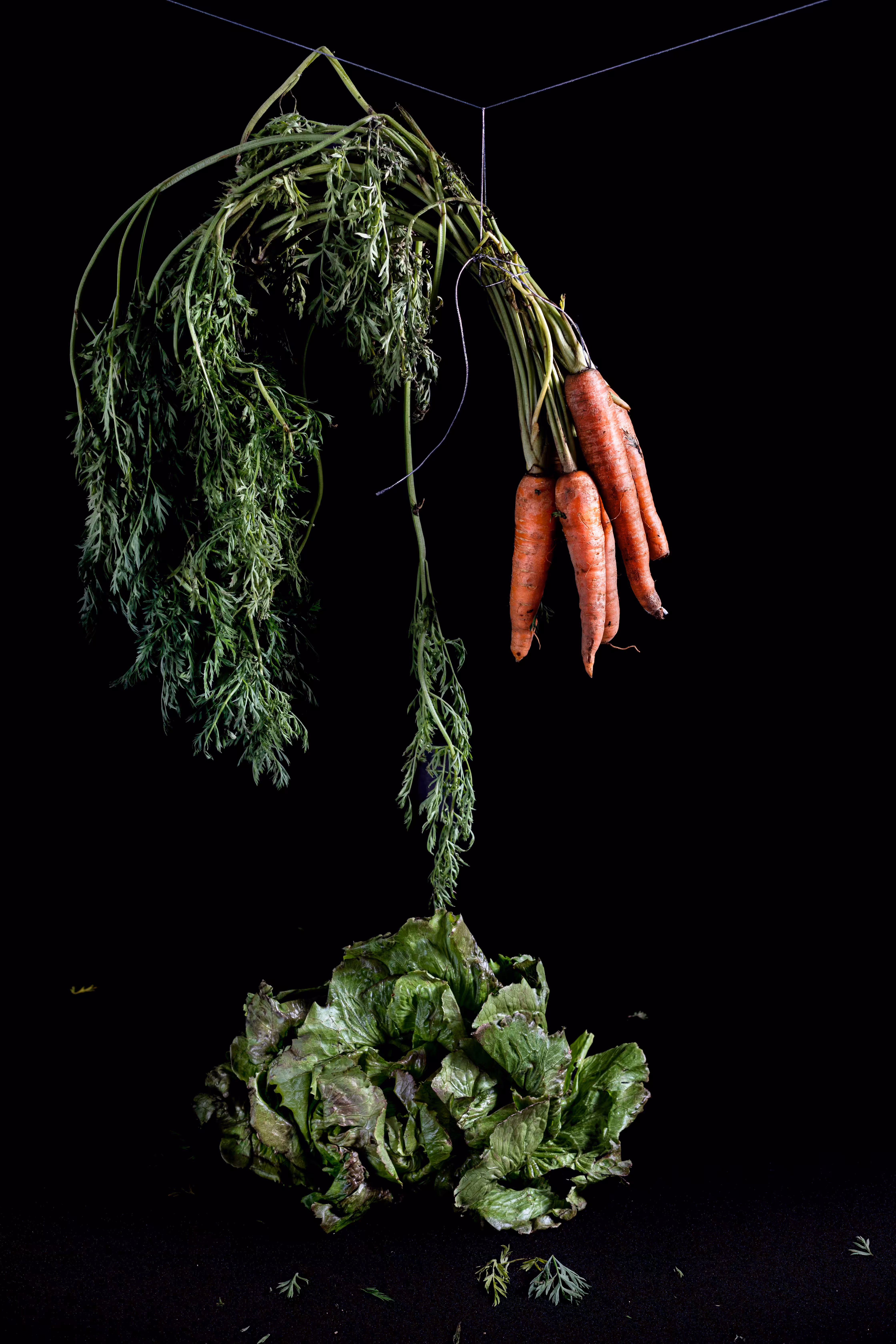 Ugly Fruit 03