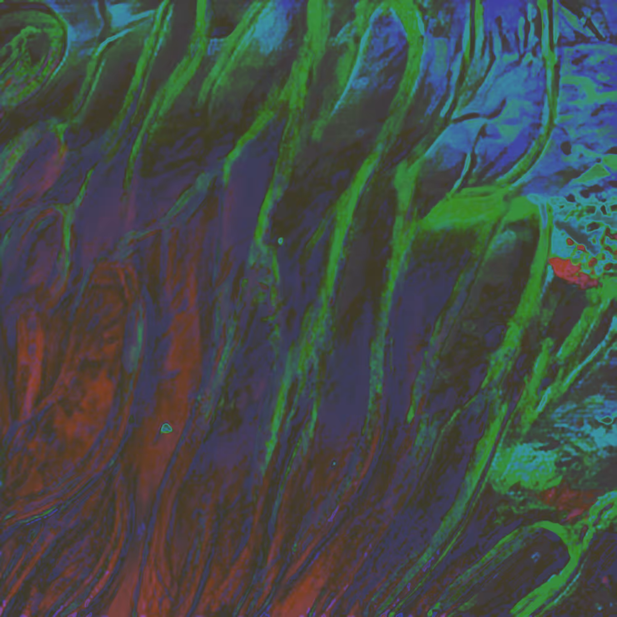 img000000005-art-height-2000px