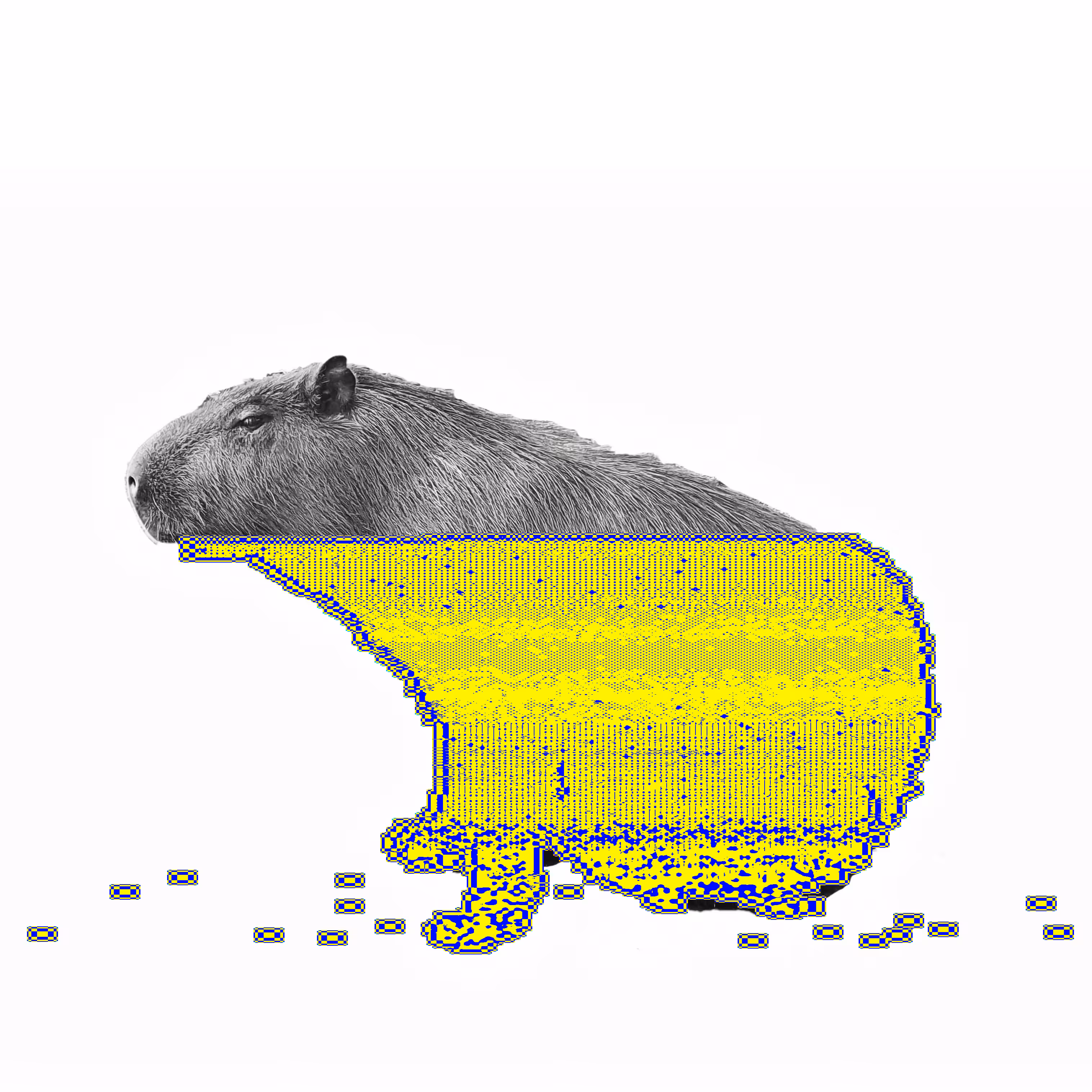Capybaras of Ipaussu [ Descolada // Organism Scan c3 ]