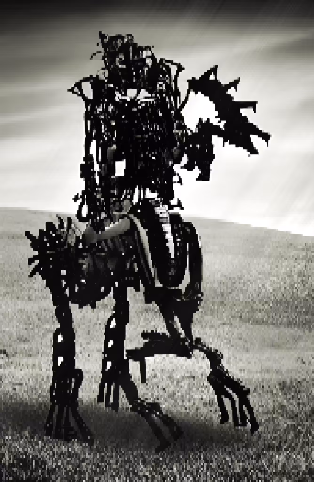 003