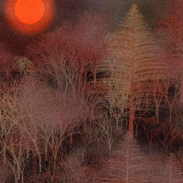 Moonlit Native Bush #52