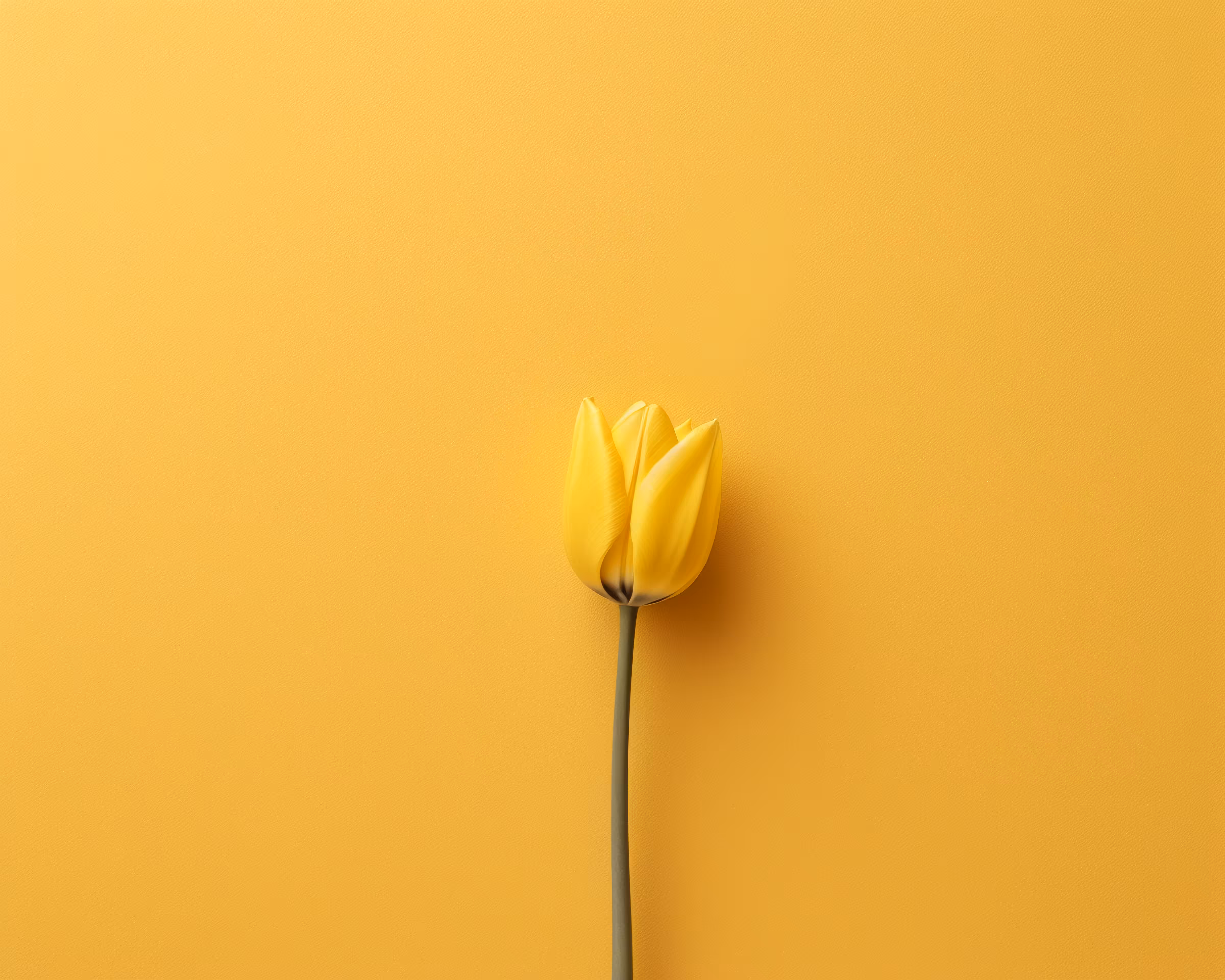Fragility