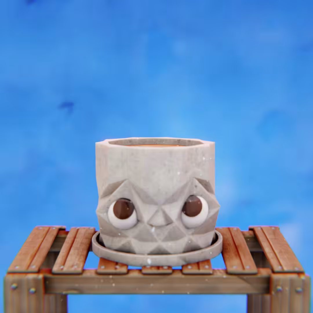 Plant Boi #01 - "Rocky"