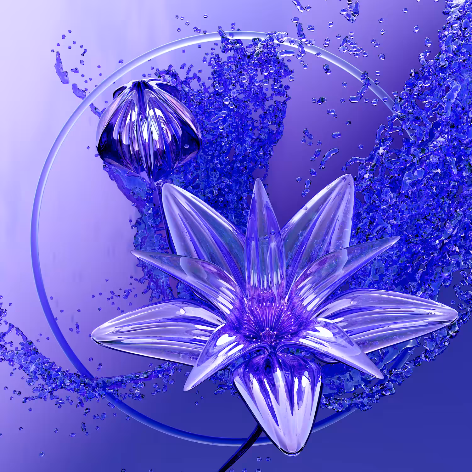 Pellucid Petals #03 - Spritz