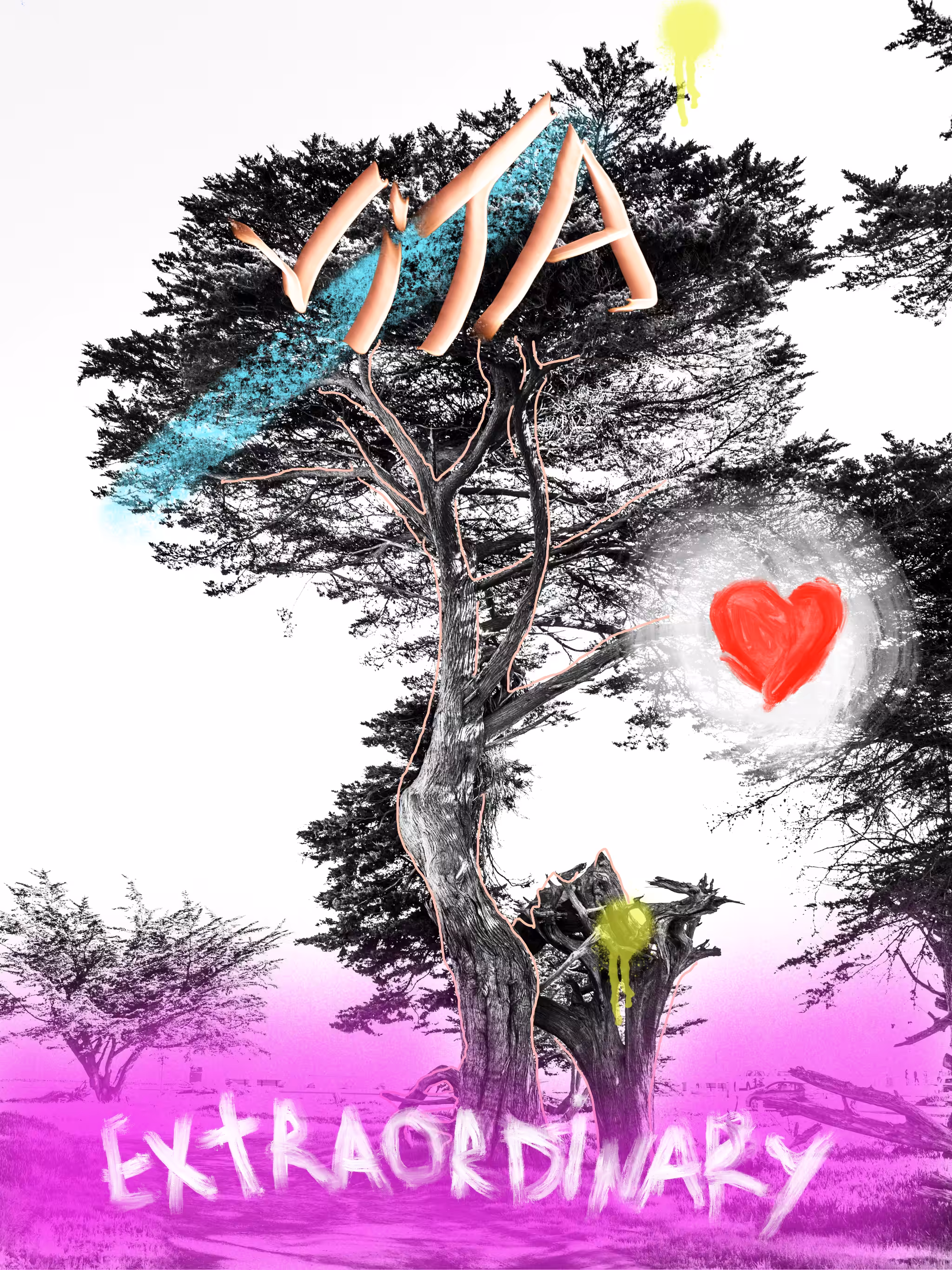 Vita and Surf