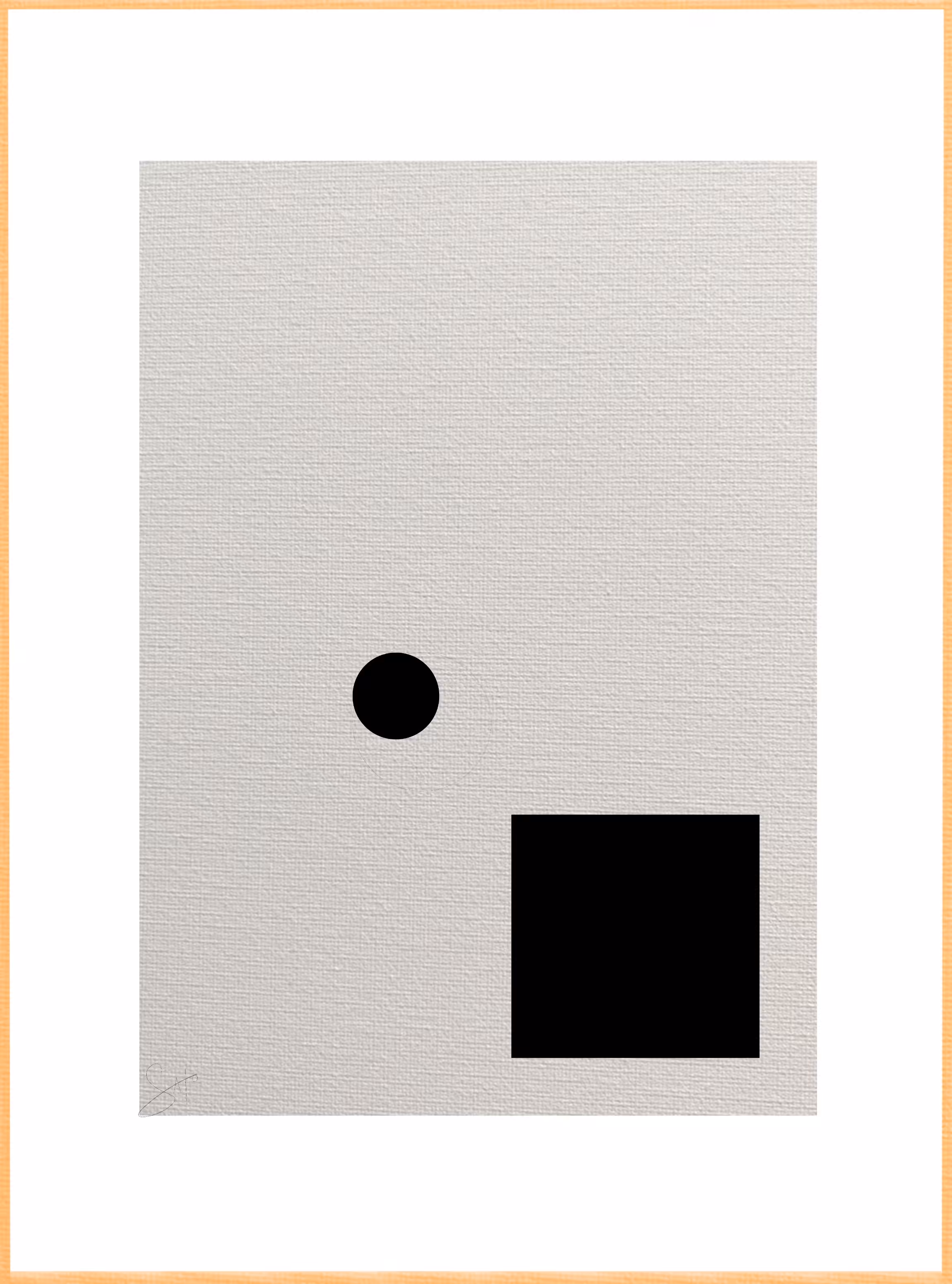 Paradoxical Palette