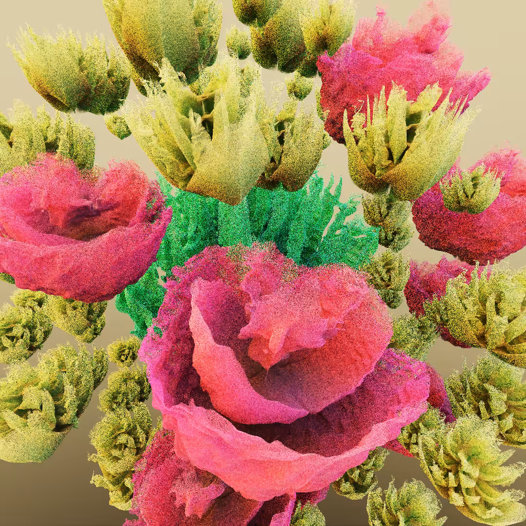 rosarium #62