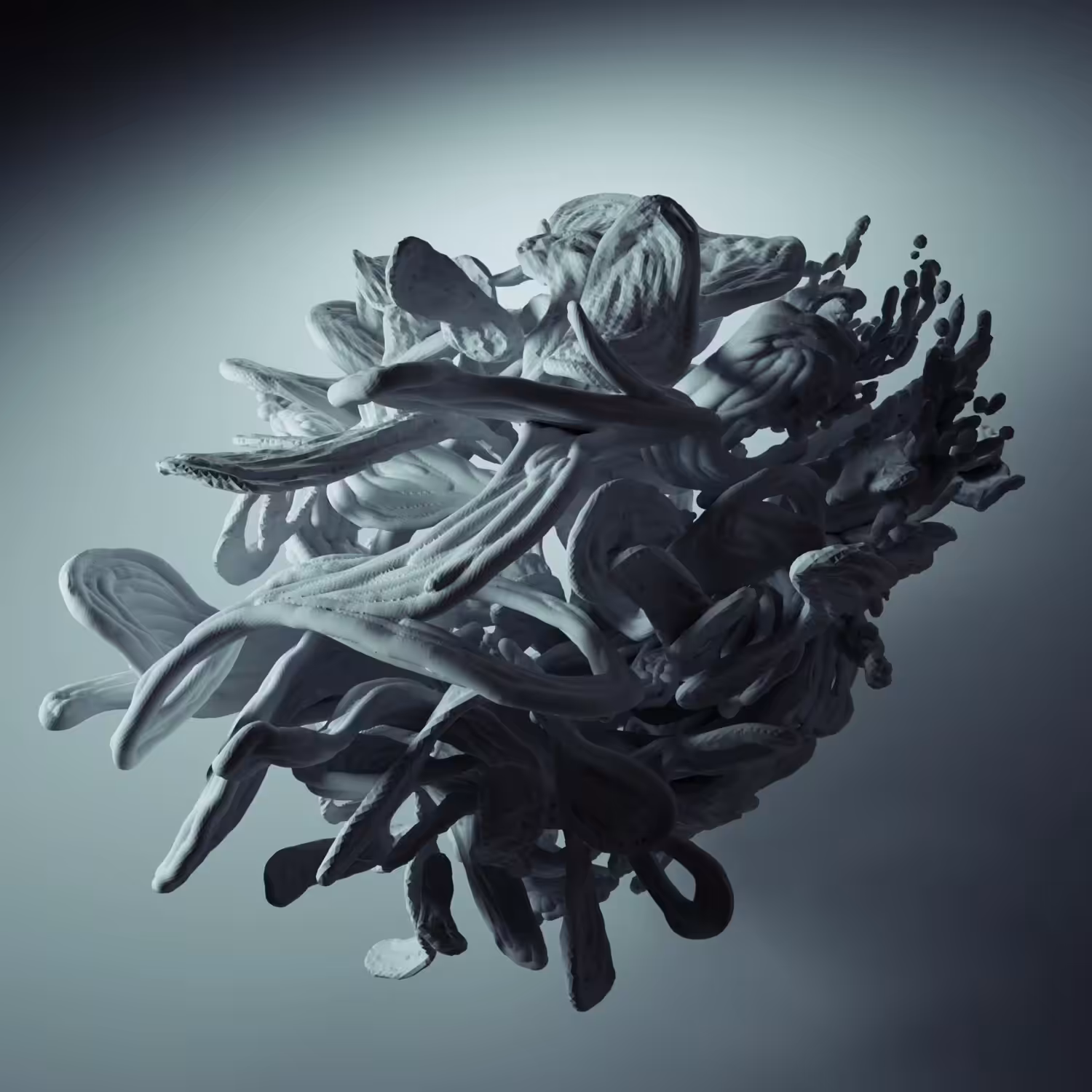 Veil 01