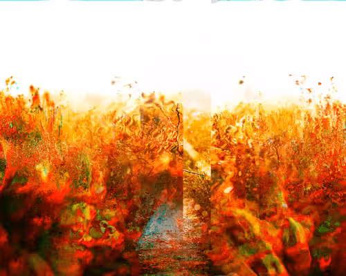 skyscapes: 40