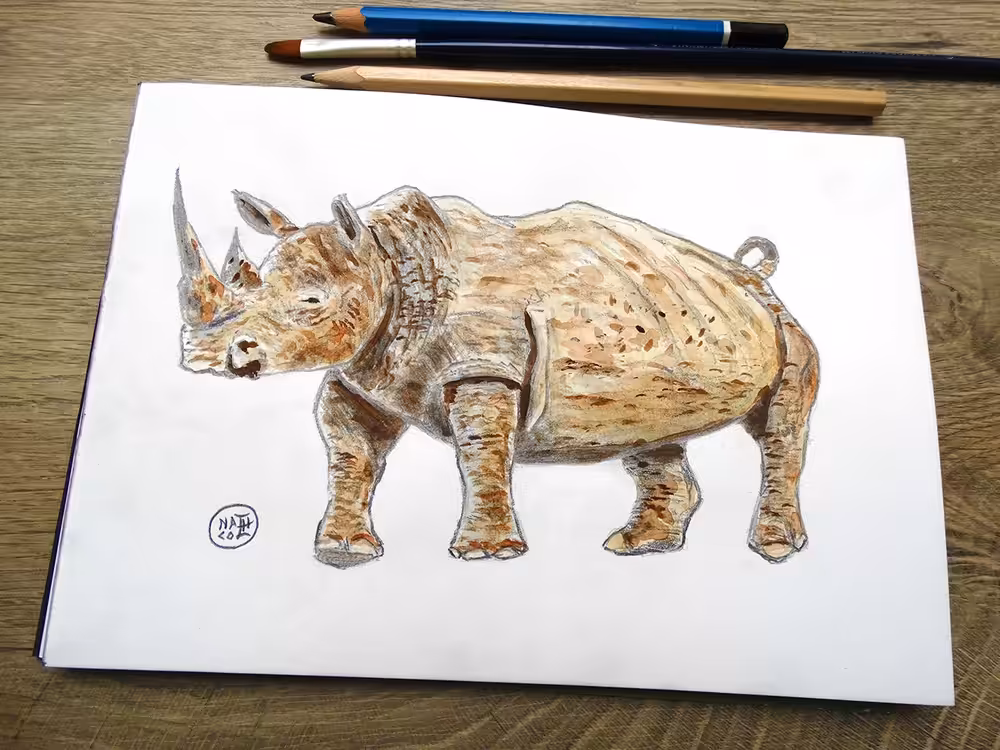 Rhinoceros
