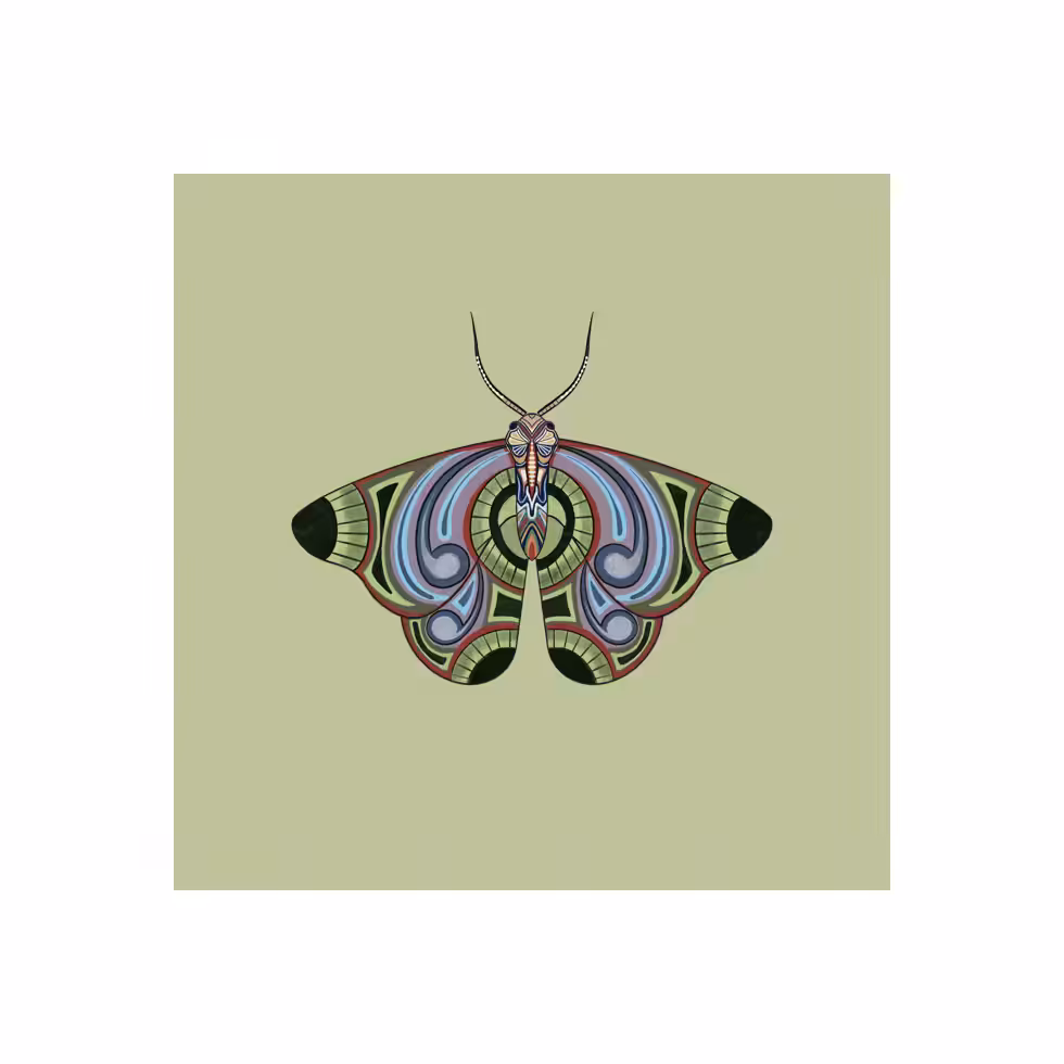 The Moth Experiment  #16
