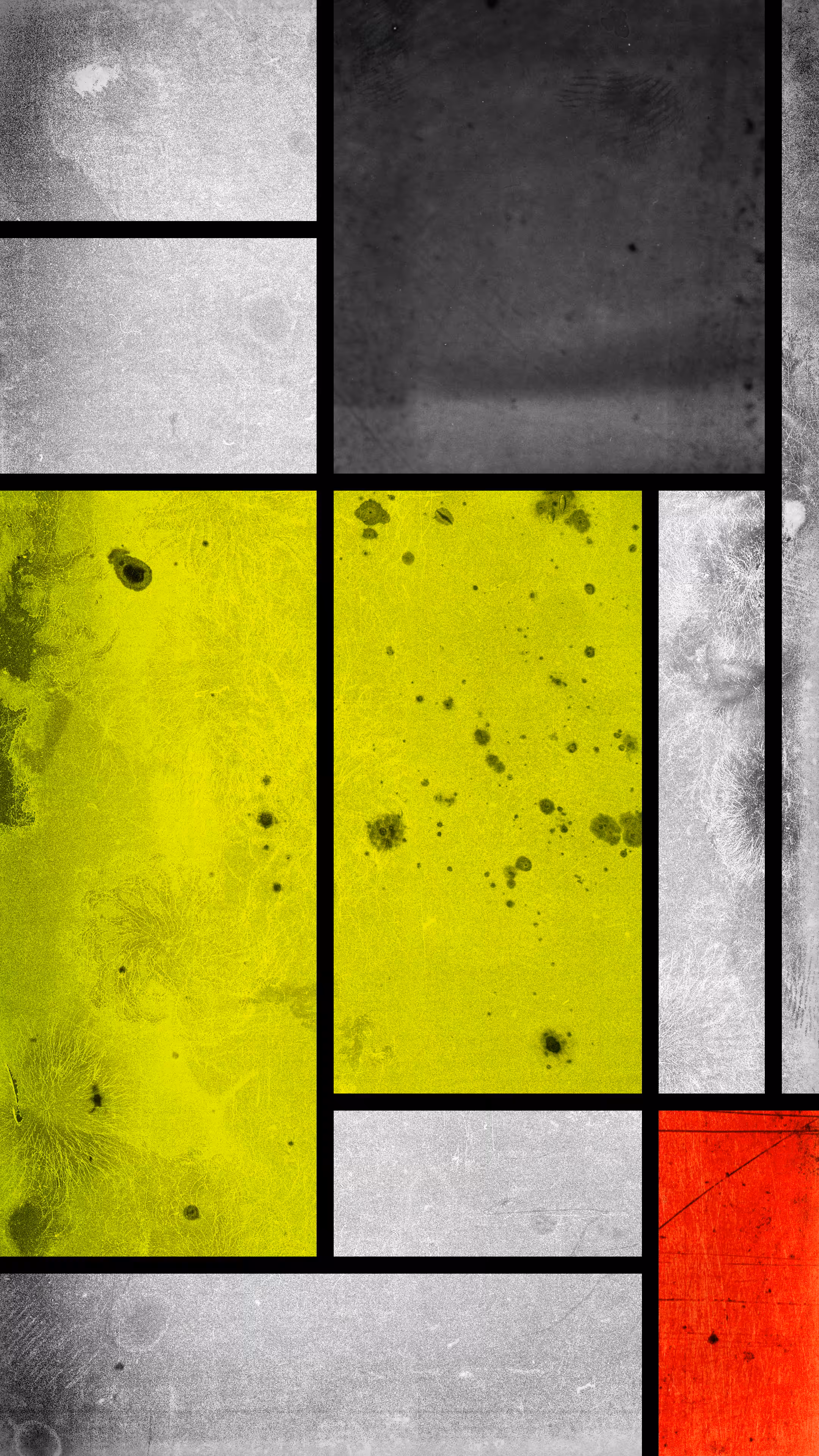 Mondrian #034